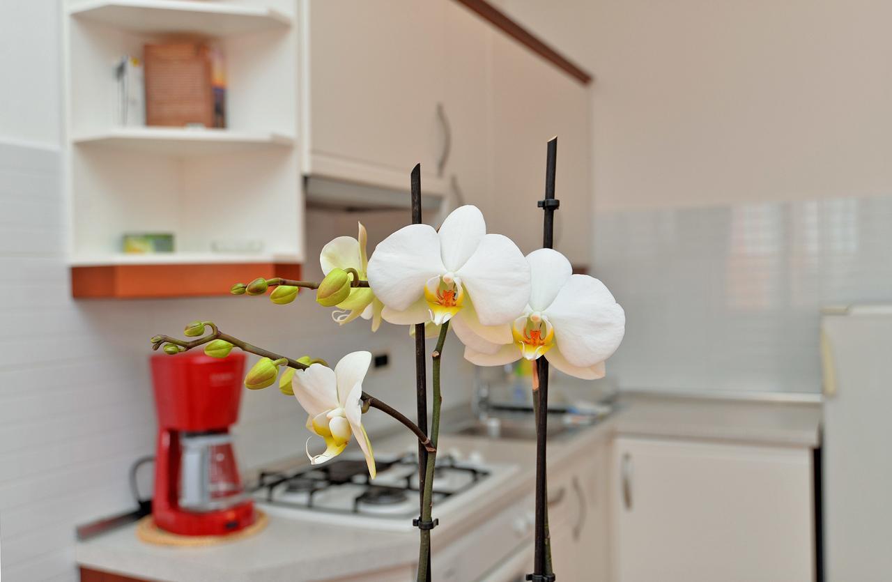 Apartment Ljiljana 1553 Novigrad  ภายนอก รูปภาพ